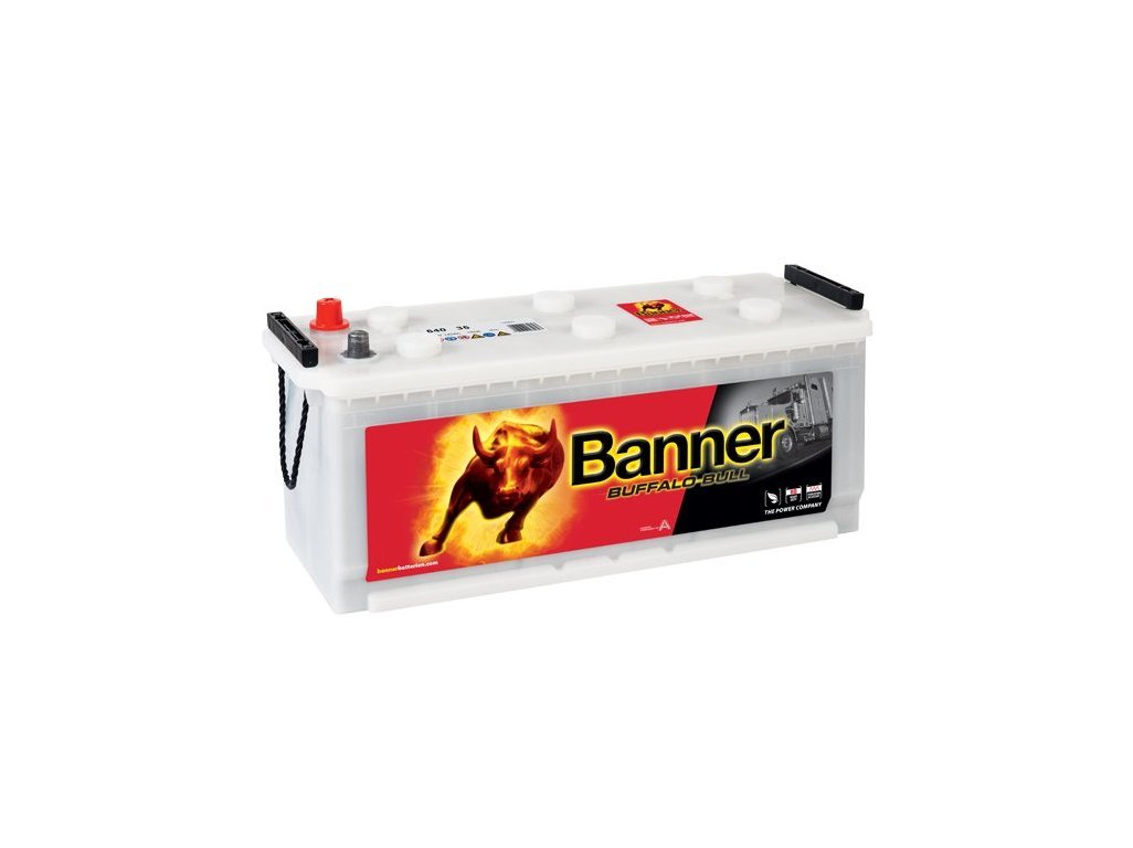 Banner BUFFALO BULL 64035